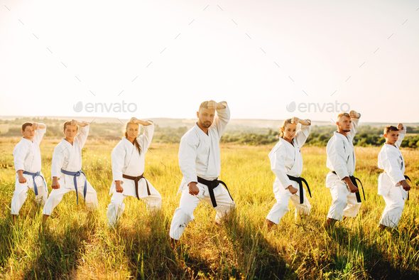 Karate class work out the stand, training in field
