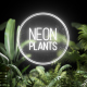 Neon Plants - VideoHive Item for Sale