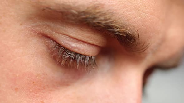 Eyelash Hairs On The Upper Eyelid Of The Human Eye. Human Eye. Man Reads