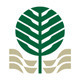 Green Tree Logo by serkorkin | GraphicRiver