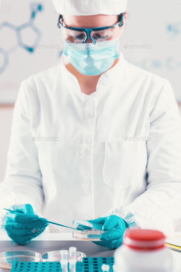 Microbiologist working in laboratory Stock Photo by microgen PhotoDune