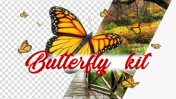 Butterfly KitBundle - VideoHive 23747019