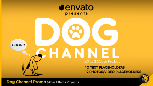 Dog Channel Broadcast - VideoHive 23759634