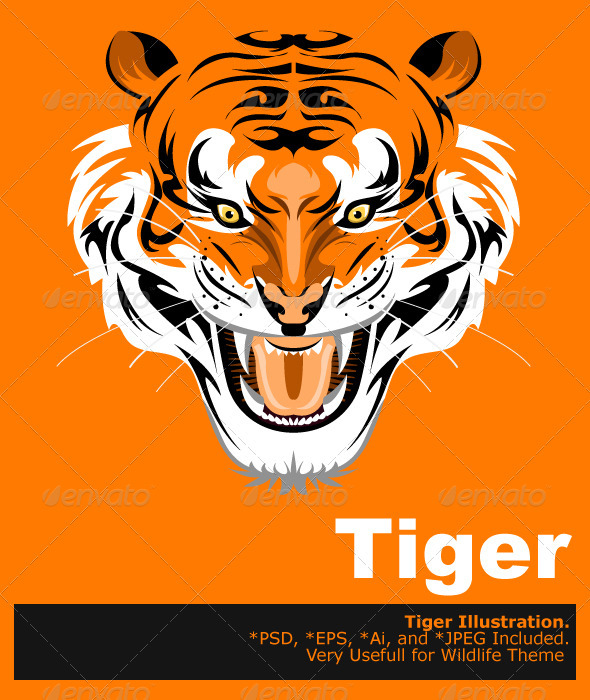 Sumatran Tiger - Animals Characters