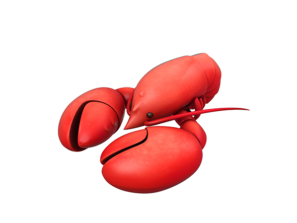 Lobster - 3Docean 23763918