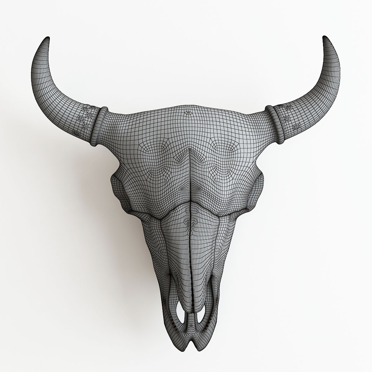 Bison Skull 3d Print Model By Pat460 3docean