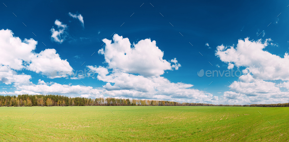 Countryside Rural Field Or Meadow Landscape With Green Grass On - Stock Photo - Images