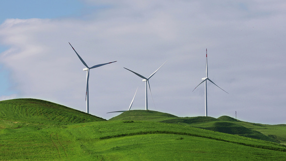 Group of Wind Turbines on Spring Field