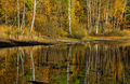 Golden, colorful autumn over a forest pond - PhotoDune Item for Sale