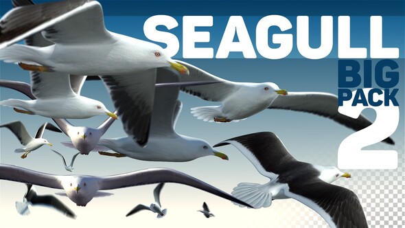 Seagull Big Pack 2