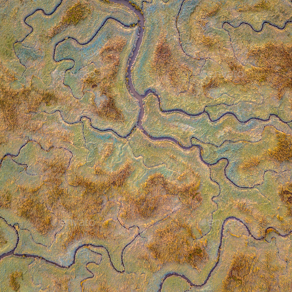 Aerial view of tidal marshland square - Stock Photo - Images