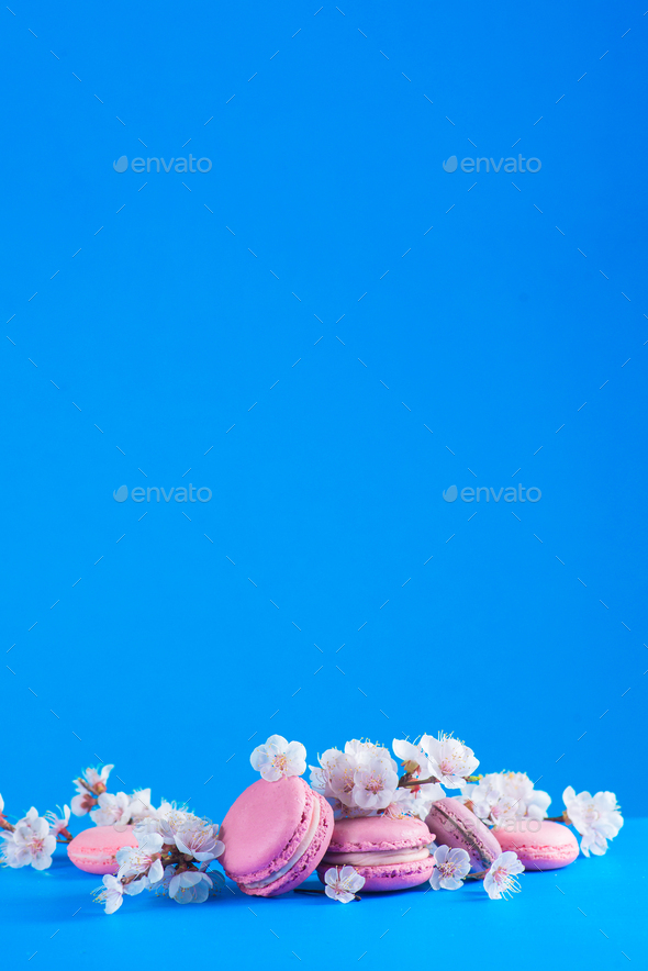 French macaroon cookies with cherry blossom flowers on a sky blue background  with copy space. Color Stock Photo by dinabelenko