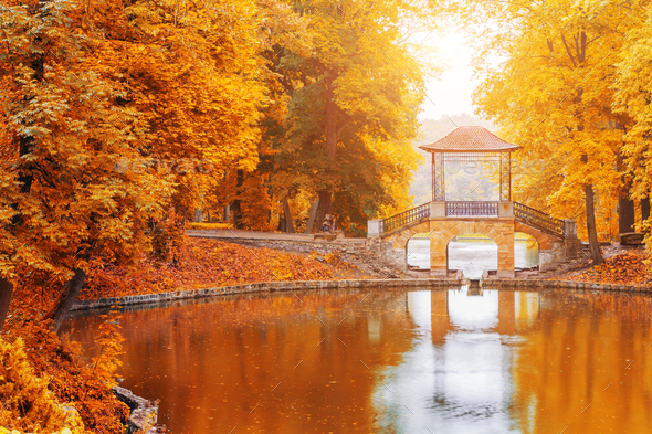 Wooden bridge in the autumn park, Japan autumn season, Kyoto. - Stock Photo - Images