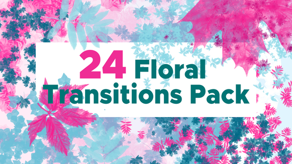 24 Floral Transition - VideoHive 23796945