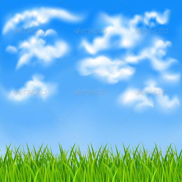 Summer Background - Landscapes Nature