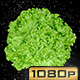 Spinning Lettuce - VideoHive Item for Sale