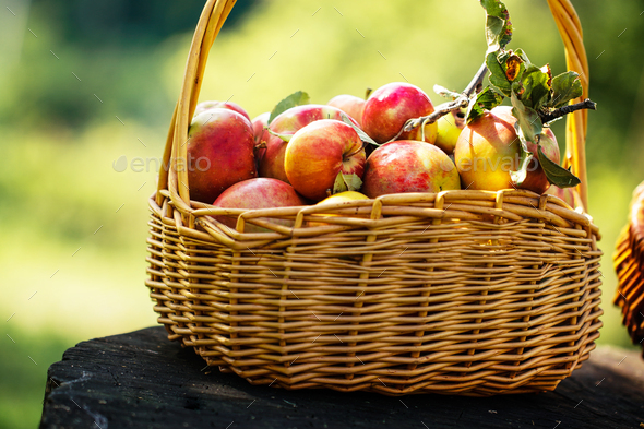 https://s3.envato.com/files/264990880/freshly%20picked%20apples.jpg