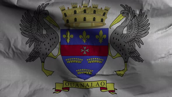 Saint Barthelemy Flag Textured Waving Background 4K alt