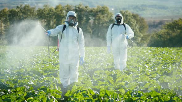 Agricultural Technicians in Protective Suits with a Mask on Their Face alt
