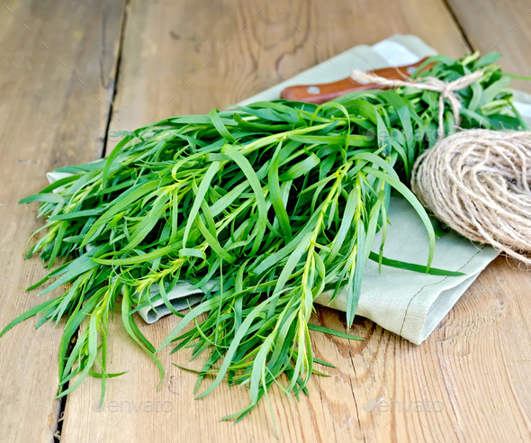 Tarragon with a knife and twine on the board