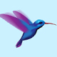 Hummingbird - VideoHive Item for Sale