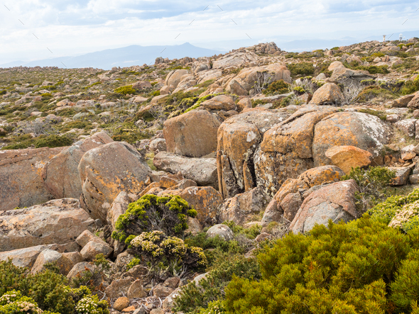 Mount Wellington Plateau - Stock Photo - Images