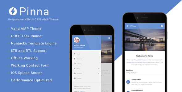 Exceptional Pinna - Google AMP Template
