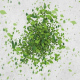 Green Eco Logo Reveal - VideoHive Item for Sale
