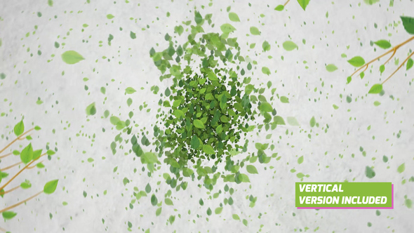 Green Eco Logo Reveal