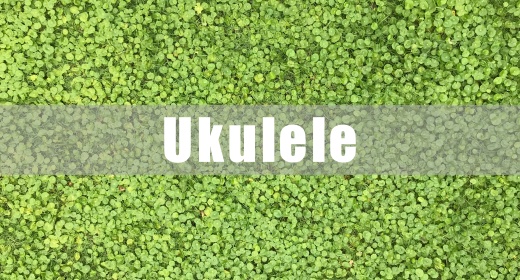 Ukulele