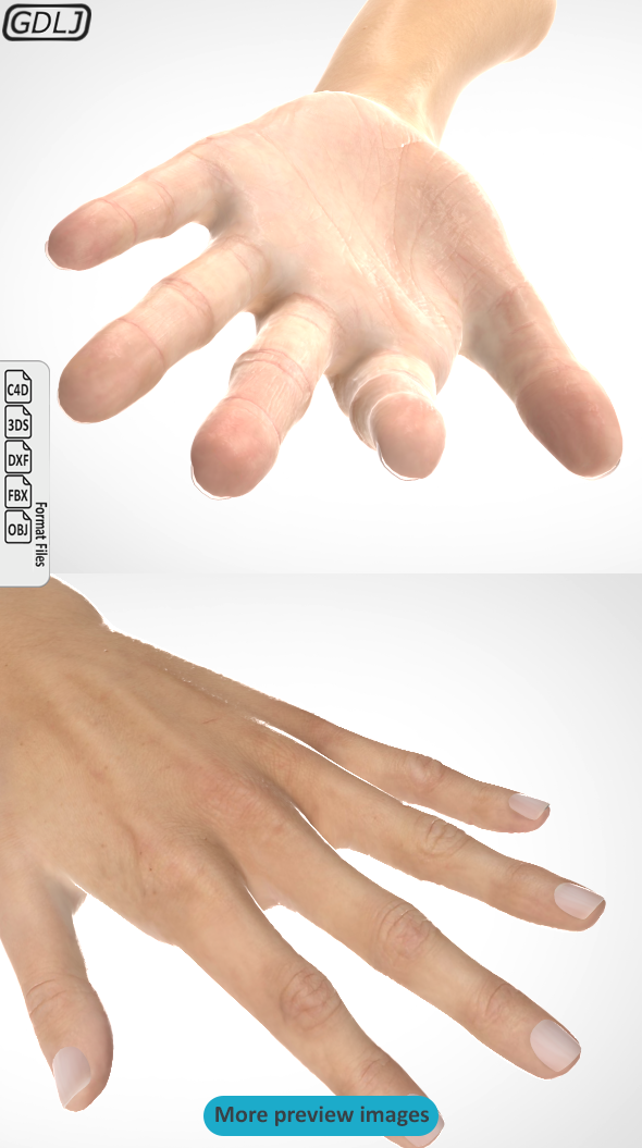 Hand 3D model - 3Docean 23904998