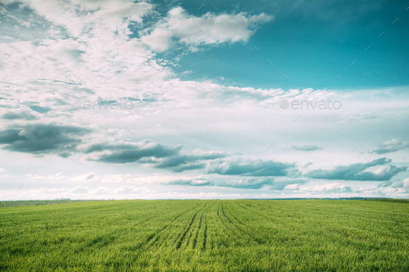 Countryside Rural Field Meadow Landscape In Summer Cloudy Day S Stock Photo By Grigory Bruev