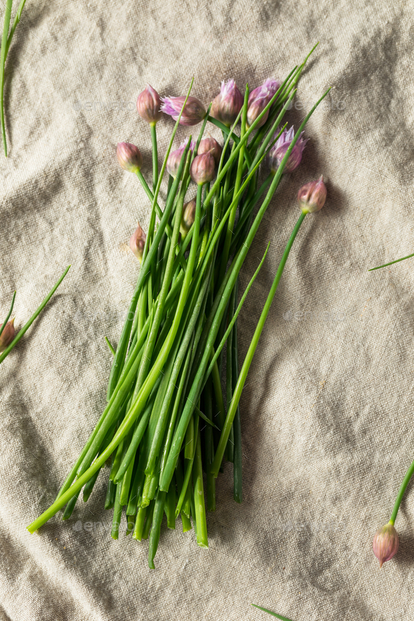 Raw Organic Chopped Green Onions Stock Photo by bhofack2