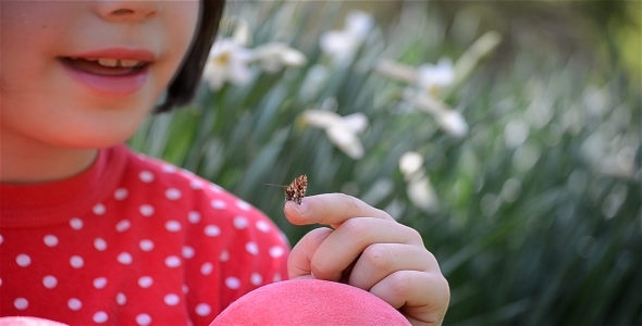 Child Plays With A Butterfly