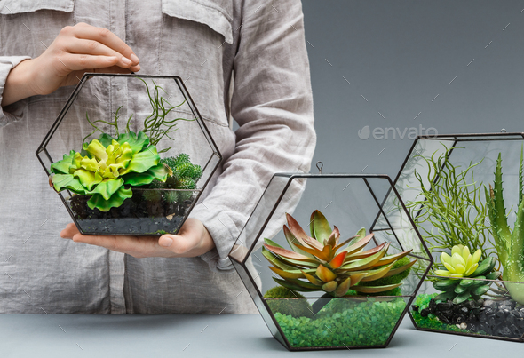 Professional florist concept - Stock Photo - Images