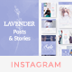 Instagram Posts & Stories - Lavender