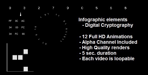 Infographic Elements - Digital Cryptography