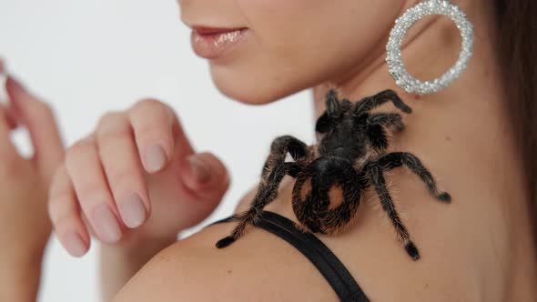 Big Black Spider on a Woman's Chest alt