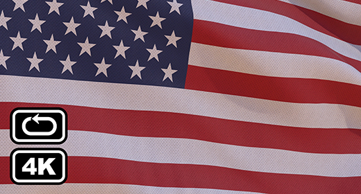 Flags Seamless Loops