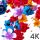 Flowers Logo Reveal - VideoHive Item for Sale