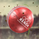 Cricket Ball Logo Reveals - VideoHive Item for Sale