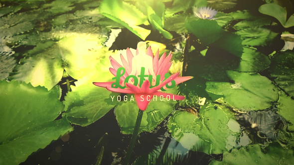 The Lotus - VideoHive 23985088