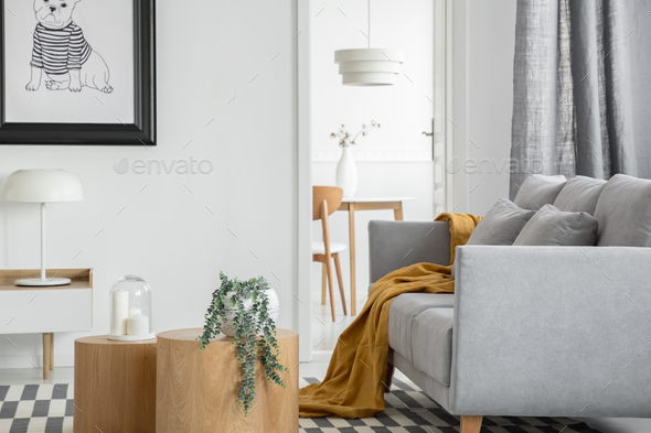 Trendy open space living and dining room interior with grey couch and wooden furniture - Stock Photo - Images