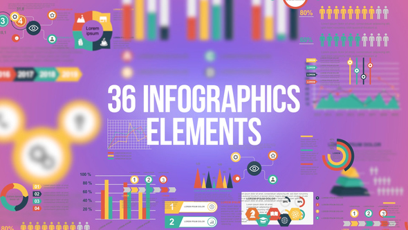 Infographics - 36 - VideoHive 24004045