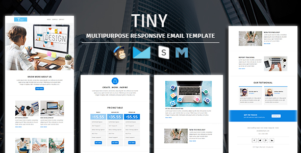 Tiny - Multipurpose - ThemeForest 24019452