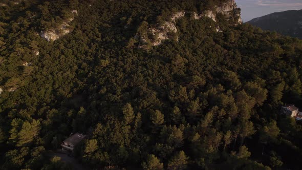 Dense Forest on Hills of Tramuntana Range alt