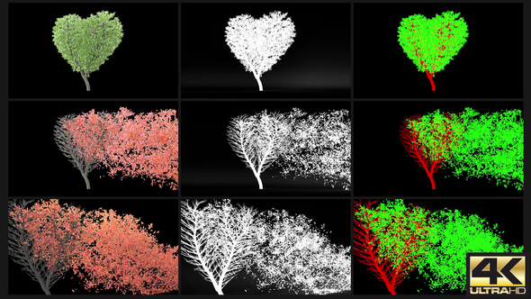 Tree Growing in a shape of Heart