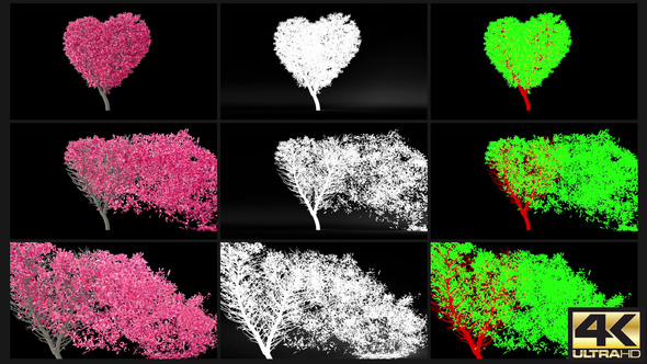 Tree Growing in a shape of Heart