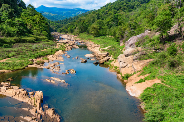 Landscape of river in jungle of Sri Lanka Stock Photo by Yakov_Oskanov