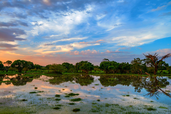 Sunset in African marshland
